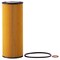 Premium Guard Engine Oil Filter,  PG4757 - alternate 1