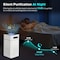 Edendirect 900 sq. ft. HEPA Room Air Purifier in White with Activated Carbon, for Odor, Pet Fur, Smoke Removal ZRSD-01 - alternate 5