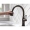 Delta Cassidy Single Handle Pull-Down Kitchen Faucet with ShieldSpray Technology 9197-RB-DST - alternate 3