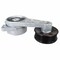 Motorcraft Accessory Drive Belt Tensioner,  BT65 - alternate 3