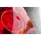 3M High Strength Lens Repair Film Red, 03341, 3.75 in x 7.75 in, 24PK 3341 - alternate 5