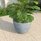 Leisuremod Dahlia Tapered Round Fiberstone & MgO Clay Planter with Cover, Weather-Resistant DP14AC - alternate 6