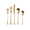 Mepra Neve Flatware Set - 5 Pieces - Ice Gold 102522005OI - alternate 1