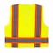 Radians Radians SV6 Two Tone Surveyor Type R Cla, 100% Polyester Mesh, Zipper Closure Closure, Hi-Vis Green SV6-2ZGM-5X - alternate 10