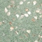 Apollo Tile Amalfi 9x8 in. Mint Green with Copper flecks Glossy Shell, Terrazzo Hexagon Tile, 5PK APLAQT8801HXGRN - alternate 12