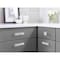 Amerock Calathea 5-1/16 in 128 mm Center-to-Center Polished Chrome Cabinet Pull BP100312826 - alternate 2