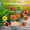 Ipower Plant Grow Bag 7 Gallon Heavy Duty Fabric Pots, 300g Thick Nonwoven, Tan 2024 Version, 6PK GLGROWBAG7X6TAN - alternate 6