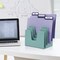 Acrimet 5 Section Incline File Sorter Desk Organizer Rack for Office Desktop Plastic Solid Green 225.6 - alternate 9