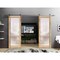 Sartodoors Sturdy Double Barn Door Planum 2102 Oak Solid Core Modern Interior PLANUM2102DB-S-DUB-36 - alternate 1