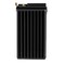 Odyssey 12 Volt, 220 Cold Cranking Amps/ 540 Pulse Hot Cranking Amps, M6 Receptacle Brass Terminals ODS-AGM16CL - alternate 7
