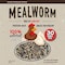 Flock Fest Dried Mealworms for Chickens, Wild Birds, Ducks, and Small Pets, 30 oz Bag, 3PK 27077088922 - alternate 1