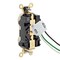 Leviton Straight Blade Receptacle, 5-20R, 20 A, 125V AC, Flush Mount, Self-Grounded M5362-T - alternate 5