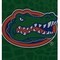 Coverking UNIVERSAL ULTISUEDE SEAT COVER DESIGNER 1PC, UNIVERSITY OF FLORIDA GREEN GATOR SKIN, ELA092 USCSELA092 - alternate 2