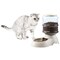 Pawsmark Automatic Self Dispensing Gravity Pet Feeder for Cats and Dogs - Large Capacity, Food Dispenser QI003700 - alternate 9