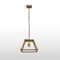 Vidalite Shura Brushed Brass 1-Light Cage Pendant Light with Adjustable Head, Integrated LED, 3000K, 500L CE1009218 - alternate 1