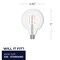 Bulbrite 60-Watt Equivalent G40 Clear Dimmable Edison LED Light Bulb Warm White, 2PK 861573 - alternate 2