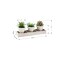 Monarch Specialties Artificial Plant, Set Of 3, 6-in. Tall, Succulent, Table, Beige Pots, Contemporary, Modern I 9373 - alternate 3