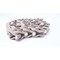 System Plast CONVEYOR CHAIN 10FT AA1100164 LF1700 - alternate 5