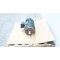 Toshiba EQP GLOBAL SD MOTOR 254TC 15HP 3530RPM 230/460V-AC 3PH 0152SDSR47A-P - alternate 4
