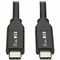Tripp Lite USB C CABLE USB 2.0 5A USB-IF MM 3M U040-C3M-C-5A - alternate 1