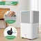 Edendirect 22 pt 2000 sq ft Dehumidifier for Home in White with Bucket with Drain Hose ZR-OL12-D031B - alternate 6