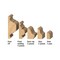 Cmt MOULDING SYSTEM D=1-1/4inx3/4in (PROFILE B) S=1/2in 856.851.11 - alternate 3