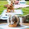 Scratchme Super-Absorbent Waterproof Dog and Puppy Pet Training Pad, Housebreaking Pet Pad, Blue 23.6inx23.6i PTPUPYPAD100M - alternate 7