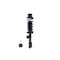 Fcs Struts Suspension Strut And Coil Spring Assembly 1334484R - alternate 1