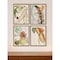 Homeroots Set Of Four Tropical Variety Gold Framed Print Wall Art, 4PK 525175 - alternate 4