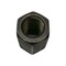 Agco NUT, AGCO OEM 747301M1 747301M1 - alternate 5