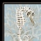 Homeroots Coral Seahorse I 3 Black Framed Print Wall Art 407596 - alternate 5