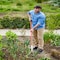 Corona Tools Oscillating Hoe, 6 in. Blade SH 60061 - alternate 4