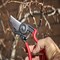 Corona Tools ErgoACTION Bypass Pruner, 3/4 in. Cut Capacity BP 3640 - alternate 6
