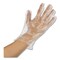 Ambitex Gloves, Polyethylene, Large (Size 9), 2000 PK, Clear EFLG2000 - alternate 3