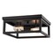 Vaxcel Pratt 2-Light Cage Flush Mount Ceiling Light, Matte Black, Industrial Farmhouse, 13-In. C0362 - alternate 1