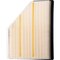 Premium Guard Engine Air Filter,  PA99819 - alternate 1