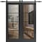Sartodoors Sturdy Double Barn Door with Clear Glass, Lucia 2466 Matte Black and Aluminum Strips, 13FT Rail Ha LUCIA2466DB-BLK-84 x 80 (2* 42x80) - alternate 1