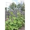 Better Bilt Products Trellis System for Climbing Plants, PK4 20X66 LARGE TRELLIS - alternate 1