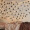 Elegani 15 LED Mini Photo Clip Fairy String Lights-6ft Warm White Silver Copper Wire for Bedroom, Dorm PH-5135 - alternate 4