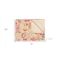 Homeroots 50" X 70" Beige Pink Orange and Green Cotton Kantha Floral Throw Throw Blanket with Embroidery 293208 - alternate 6