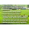 Just Scentsational Vegetable, Garden, Shrub and Tree Fertilizer NPK 10-10-10 12lb shaker VGST-12SJ - alternate 7