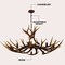 Jonathan Y Eldora 49" 10-Light Rustic Farmhouse Adjustable Resin Antler LED Chandelier, Brown JYL6320A - alternate 11