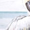 Homeroots Set Of Two Pelican on the Shore White Framed Print Wall Art, 2PK 521553 - alternate 4