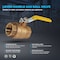 Everflow FIP Gas Ball Valve, Brass 2" FTGV-02F02F - alternate 3