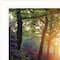 Homeroots Set Of Two Path of Happiness 1 White Framed Print Wall Art, 2PK 406160 - alternate 4