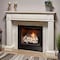 Bluegrass Living Vent Free Dual Fuel Gas Log Set, 18 in Birch Wood, 30,000 BTU, Remote Control B18DR-UL3 - alternate 2
