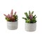 Monarch Specialties Artificial Plant, 9-in. Tall, Succulent, Table, Grey Cement Pots, Contemporary, Modern, 2PK I 9366 - alternate 1