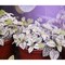 Miracle Led Craft Grow Light Kit, Periwinkle Magic Purple Spectrum Absolute Daylight+, 2PK 803419 - alternate 4