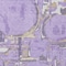 Homeroots 10' X 14' Lavender Lilac And Purple Geometric Washable Indoor Outdoor Area Rug 589403 - alternate 8