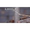 Drill America 13 Piece Stepped Point Cobalt Drill Bit Set in Aluminum Case 1/16in. - 1/4in. x 1/64in. GSC13J-PC - alternate 8